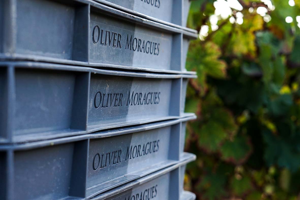 Oliver Moragues - Grand House & Wineyard Since 1511