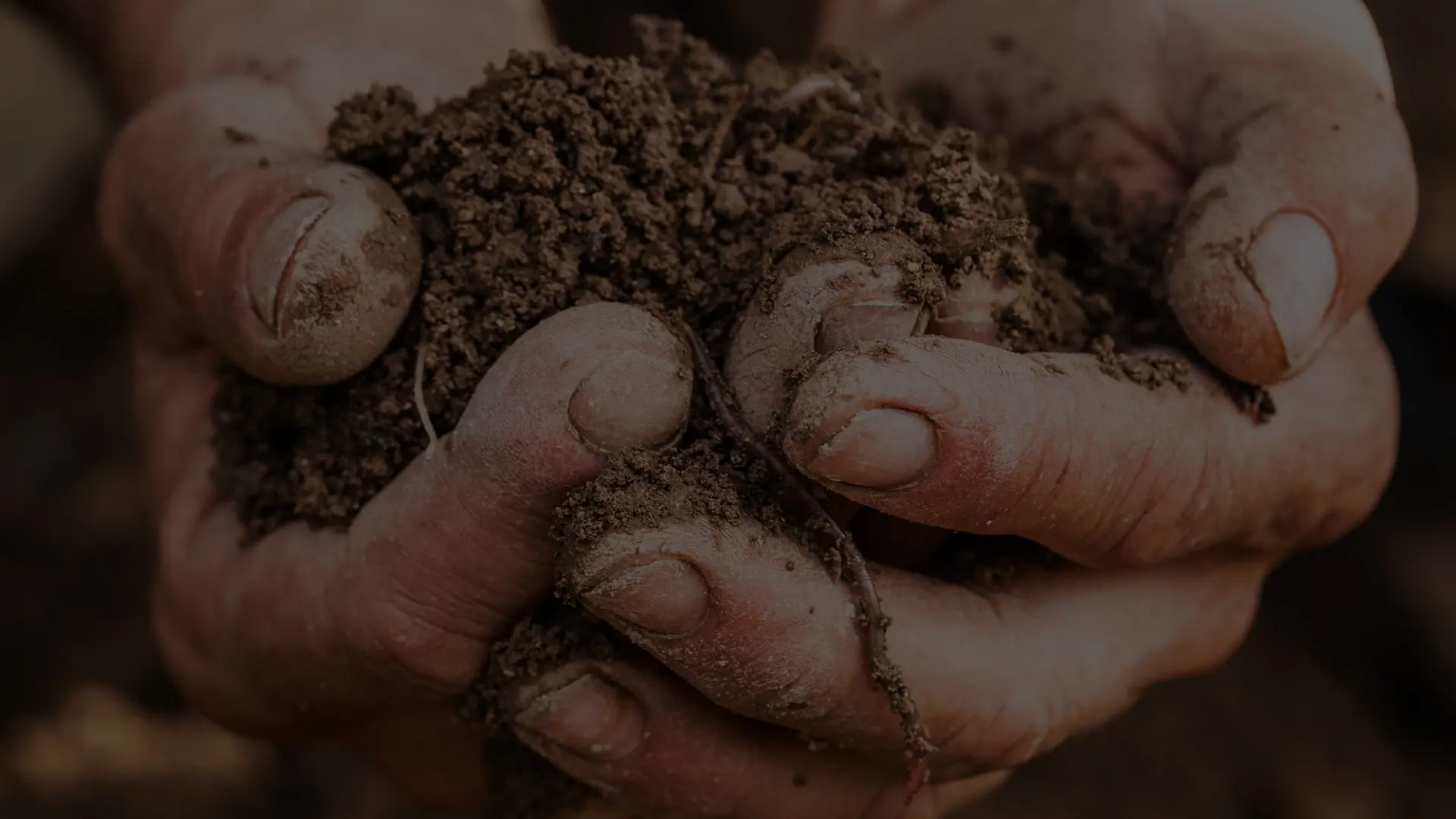 Tornar a l'origenEntenem la finca com un organisme viu, i aprofitem tots els recursos que ens ofereixen els animals, el nostre bosc i les flors i plantes per a a través de la biodinàmica aprofundir i millorar la vida de les vinyes.